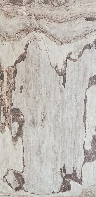 Natural stone surface